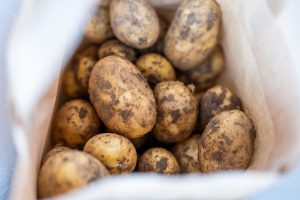 Kartoffeln frisch ab Feld